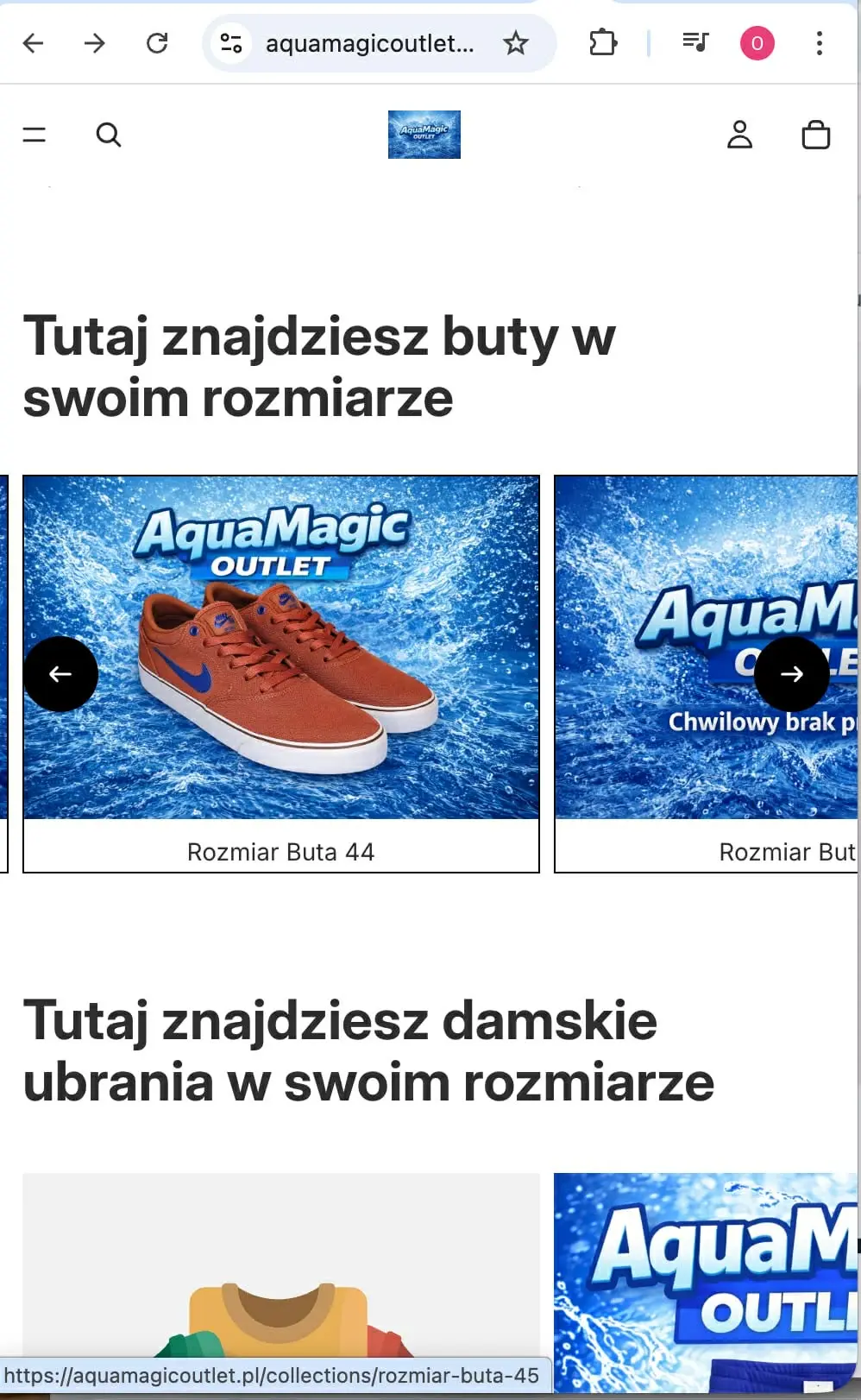 Wygląd sklepu przed przebudową - oryginalny szablon